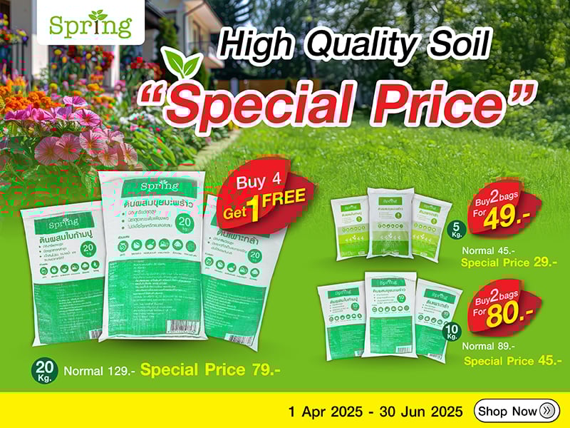 Promotion Soil